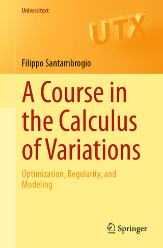 A course in the calculus of variations