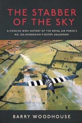 The stabber of the sky - Barry Woodhouse