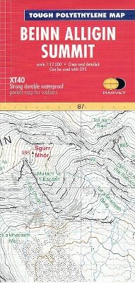 Beinn Alligin Summit -  Harvey Map Services Ltd.