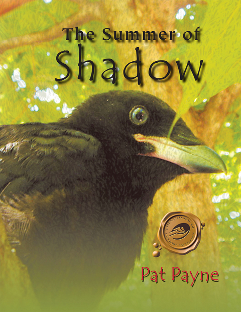 The Summer of Shadow - Pat Payne