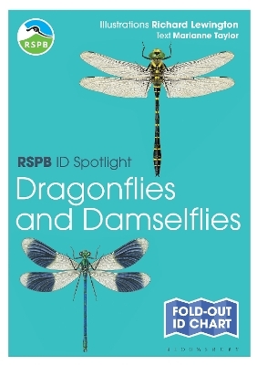 RSPB ID Spotlight - Dragonflies and Damselflies