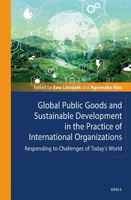 Global Public Goods and Sustainable Development in the Practice of International Organizations - 