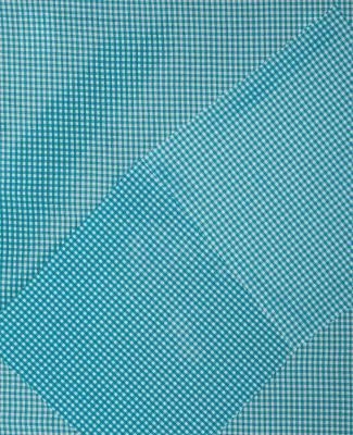 Cheryl Donegan - Daniel Birnbaum Cronberg  Anja Aronowsky