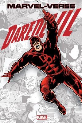 Marvel-verse: Daredevil
