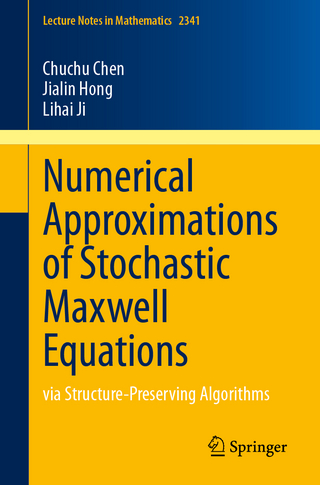 Numerical approximations of stochastic maxwell equations