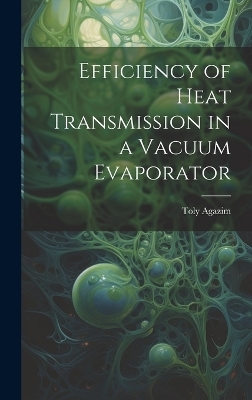 Efficiency of Heat Transmission in a Vacuum Evaporator - Toly Agazim