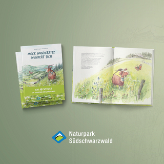 Meck Wunderfitz wundert sich