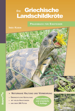 Die griechische Landschildkröte