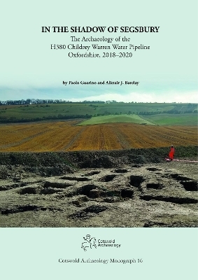 In the Shadow of Segsbury