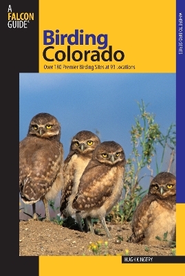 Birding Colorado - Hugh Kingery