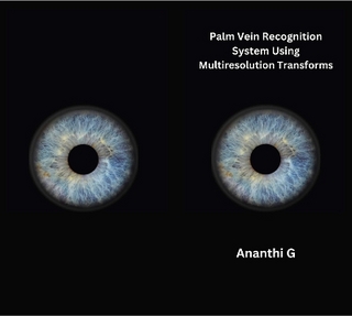Palm Vein Recognition System Using Multiresolution Transforms