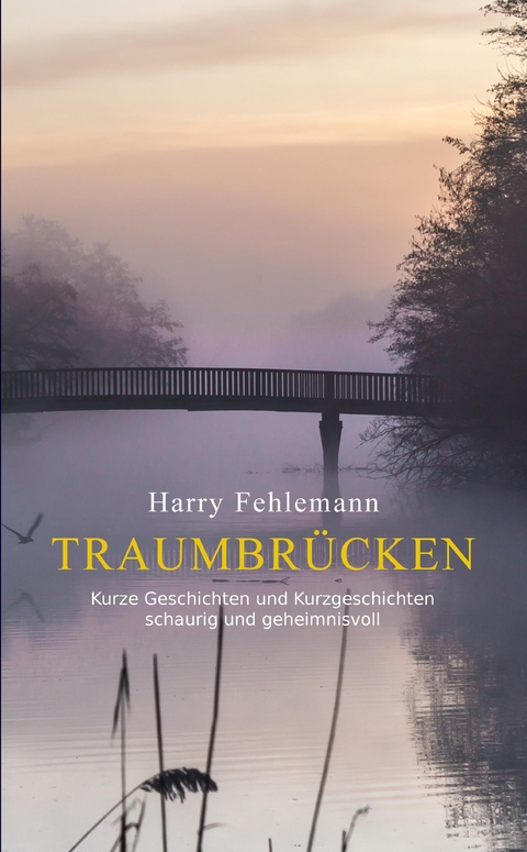 Traumbr&uuml;cken - Harry Fehlemann
