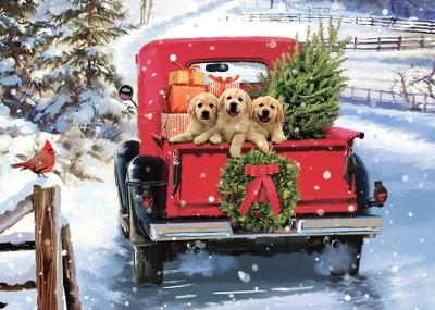 Bringing Home the Tree Deluxe Boxed Holiday Cards (20 Cards, 21 Self-Sealing Envelopes) - 