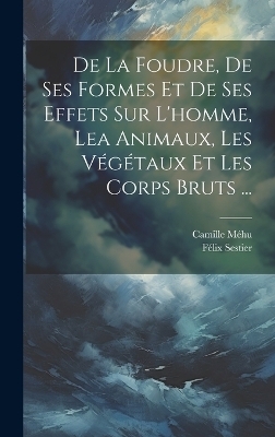 De La Foudre, De Ses Formes Et De Ses Effets Sur L'homme, Lea Animaux, Les V&eacute;g&eacute;taux Et Les Corps Bruts ... - F&eacute;lix Sestier, Camille M&eacute;hu