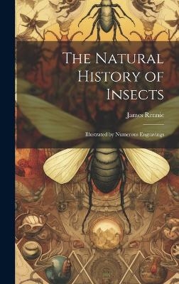 The Natural History of Insects