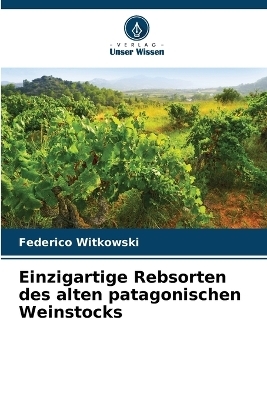 Einzigartige Rebsorten des alten patagonischen Weinstocks