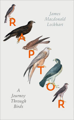 Raptor -  James Macdonald Lockhart