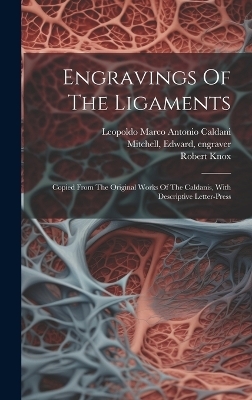Engravings Of The Ligaments