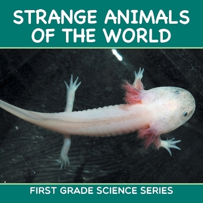 Strange Animals Of The World -  Baby Professor
