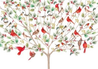 A Merry Perch Deluxe Boxed Holiday Cards (20 Cards, 21 Self-Sealing Envelopes)