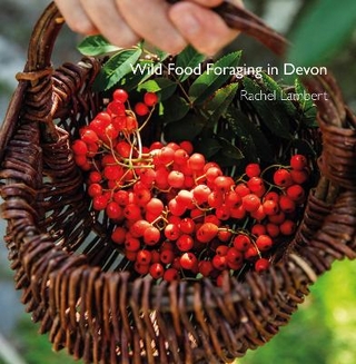 Wild Food Foraging in Devon