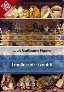 I molluschi e i zoofiti