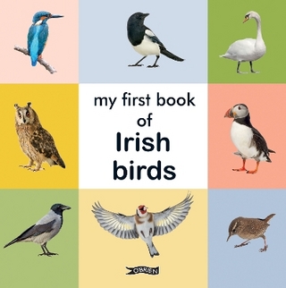 My First Book of Irish Birds