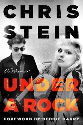 Under a Rock - Chris Stein