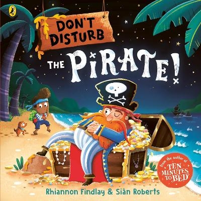 Don&rsquo;t Disturb The Pirate - Rhiannon Findlay