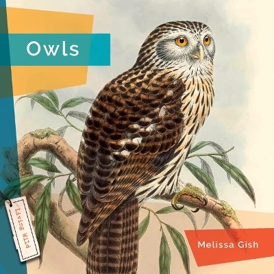 Owls - Melissa Gish