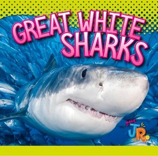 Great White Sharks