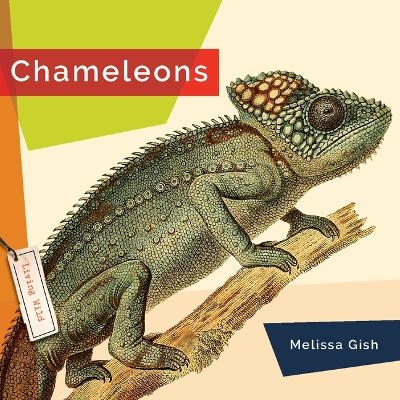 Chameleons - Melissa Gish
