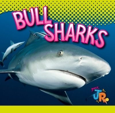 Bull Sharks - Marysa Storm
