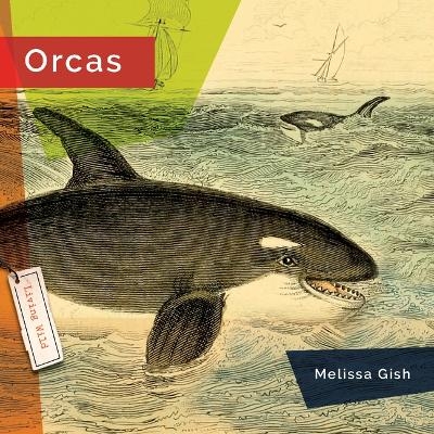 Orcas - Melissa Gish