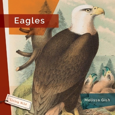 Eagles - Melissa Gish