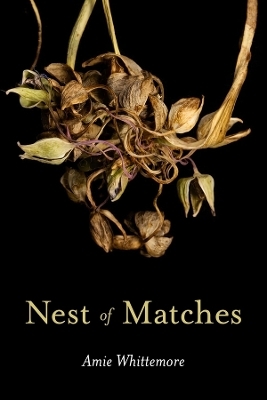 Nest of Matches - Amie Whittemore