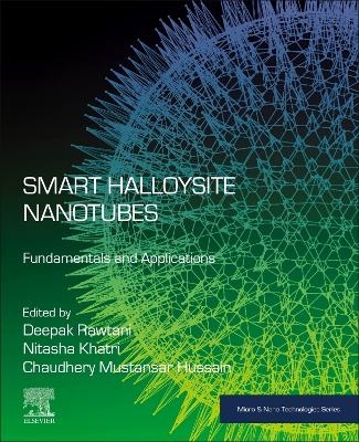 Smart Halloysite Nanotubes - 