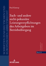 Sach- und andere nicht-pekuni&auml;re Leistungsverpflichtungen des Arbeitgebers im Betriebs&uuml;bergang - Paul Kintrup