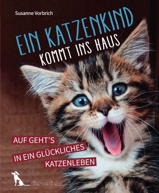 Ein Katzenkind kommt ins Haus