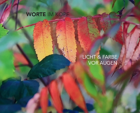 Worte im Kopf &ndash; Licht & Farbe vor Augen - Lea Andersson, Hanns Christian Roth