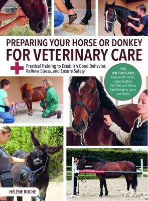Preparing Your Horse or Donkey for Veterinary Care
