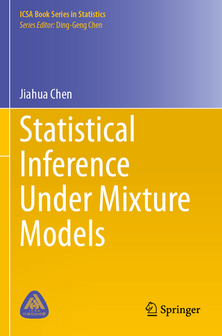 Statistical Inference Under Mixture Models