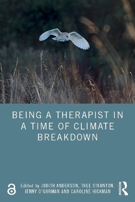 Being a Therapist in a Time of Climate Breakdown - 