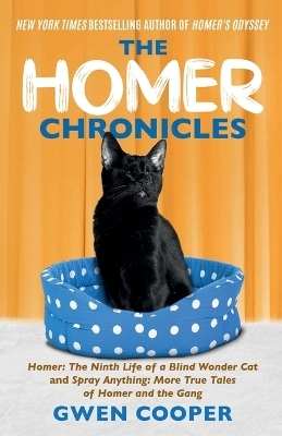 The Homer Chronicles