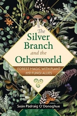 The Silver Branch and the Otherworld - Se&aacute;n P&aacute;draig O'Donoghue