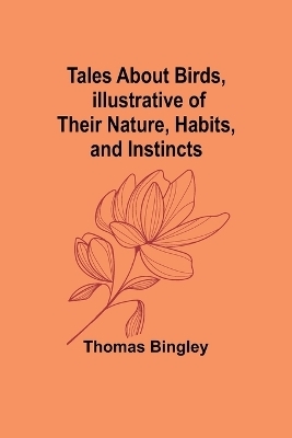 The Outlaws of Cave-in-Rock; Historical Accounts of the Famous Highwaymen and River Pirates - Thomas Bingley