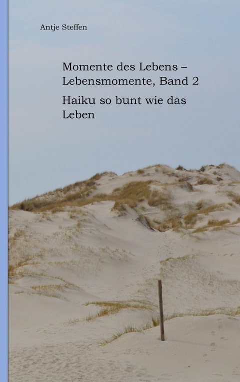 Momente des Lebens - Lebensmomente Band 2 - Antje Steffen