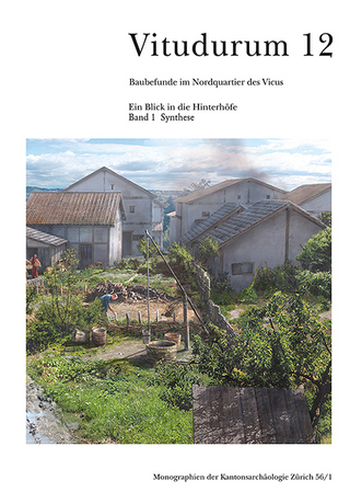 Baubefunde im Nordquartier des Vicus