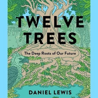 Twelve Trees