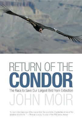 Return of the Condor